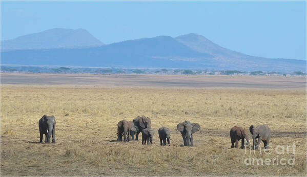 Family Art Print featuring the photograph Elephant Family Scenic Backdrop Tanzania by Tom Wurl