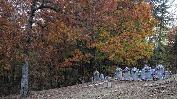 Cemetery Art Print featuring the photograph Fall in the Cemetery by George Taylor