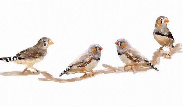 Finches Art Print featuring the painting Finches by Chris Butler