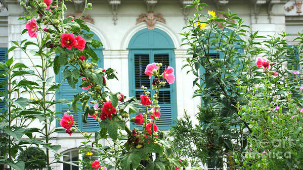 Flowers Art Print featuring the photograph Flowers in front of the window by Eva-Maria Di Bella