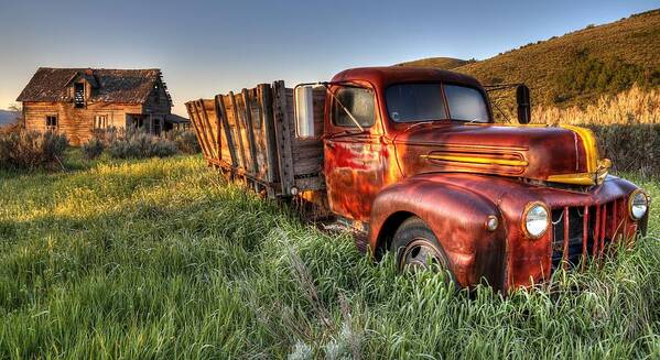 Truck Art Print featuring the photograph Forgotten Ford, Found. by Michael Morse