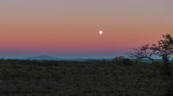 Sunset Lake Road West Brattleboro Vermont Art Print featuring the photograph Full Moon Horizon by Tom Singleton