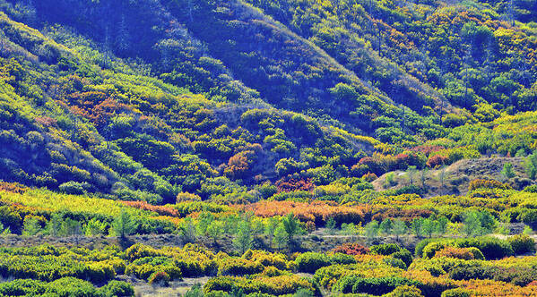 Colorado Art Print featuring the photograph Glenwood Springs Fall Colors on Display by Ray Mathis