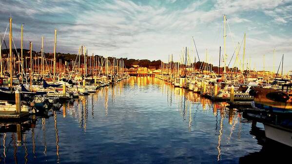 Sunrise Art Print featuring the photograph Gold Light, Monterey Marina by Zayne Diamond Photographic