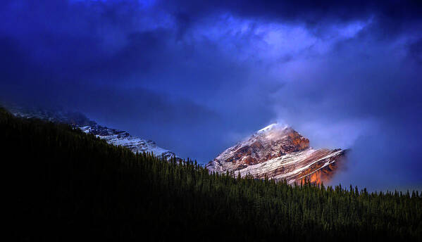 Golden Art Print featuring the photograph Golden Nugget by John Poon