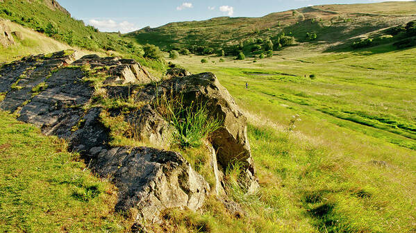 Grass Art Print featuring the photograph Grassy slopes and grass on rocks. by Elena Perelman