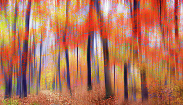 Forest Art Print featuring the photograph A Luminous Landscape by Jessica Jenney