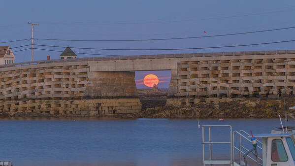 Harvest Art Print featuring the photograph Harvest Moon over Harpswell by David Hufstader