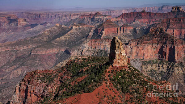 Grand Canyon Art Print featuring the photograph Imperial Point Afternoon Bliss by Jeff Hubbard