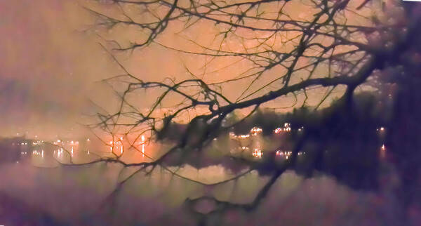 Night Art Print featuring the photograph Foggy Lake at Night Through Branches by Lynn Hansen