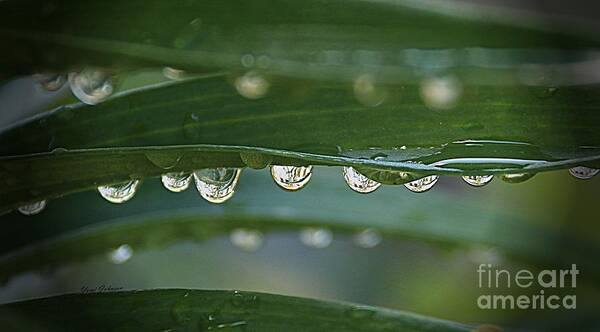 Droplets Art Print featuring the photograph Line up by Yumi Johnson