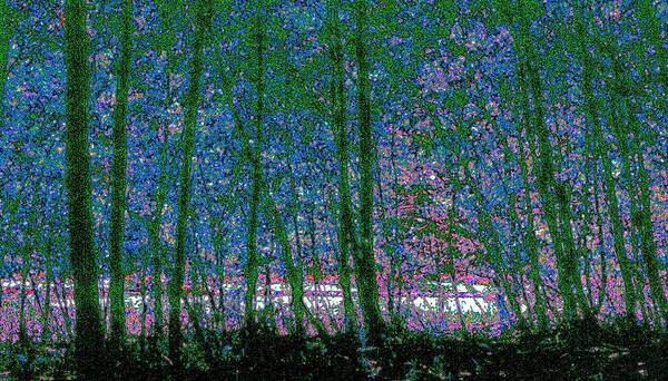 Landscape Art Print featuring the photograph Looking Through the Trees by Lyle Crump