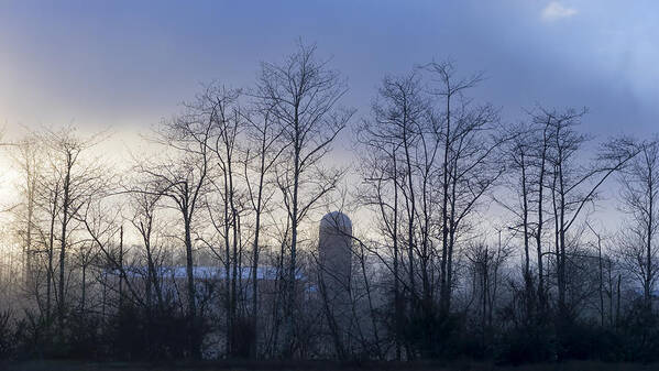 Fog Art Print featuring the photograph Misty Mornings by Cathy Anderson