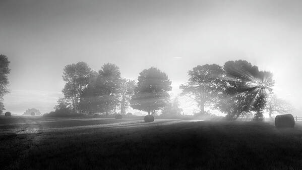 Black And White Art Print featuring the photograph Morning Lights bw by Bill Wakeley