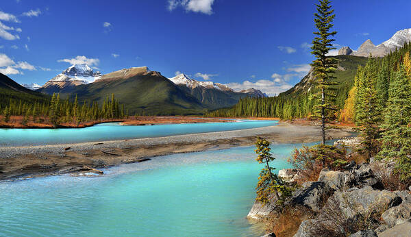 Mount Saskatchewan Art Print featuring the photograph Mount Saskatchewan by John Poon