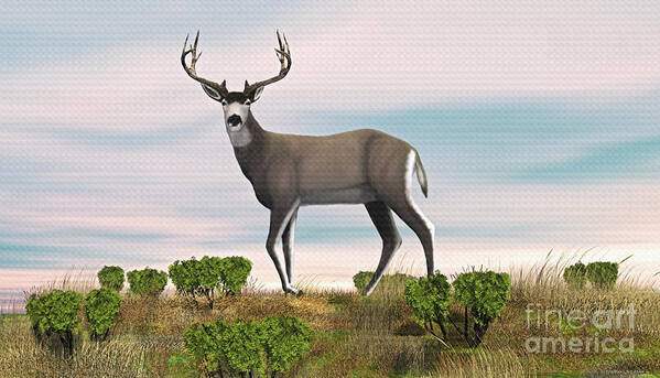 Deer Art Print featuring the digital art Mule Deer Buck by Walter Colvin
