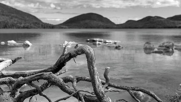 Black And White Art Print featuring the photograph Natural Curves by Holly Ross