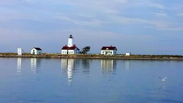 Lighthouse Art Print featuring the photograph New Dungeness Lighthouse Sequim, WA by Alexis King-Glandon