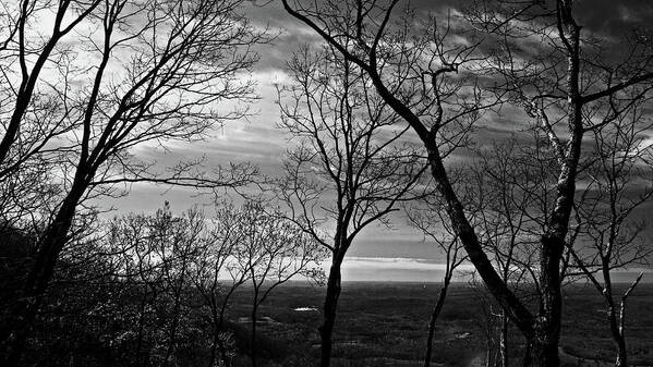 Forest Art Print featuring the photograph North Georgia View by George Taylor