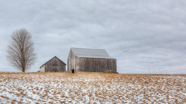 Barn Art Print featuring the photograph Overcast by Bill Wakeley