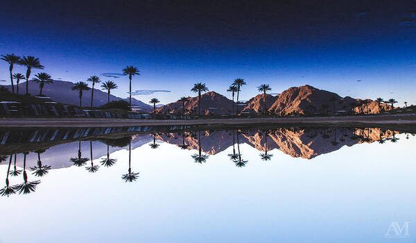 Palm Springs Art Print featuring the photograph Palm Springs Reflection by Andrew Mason