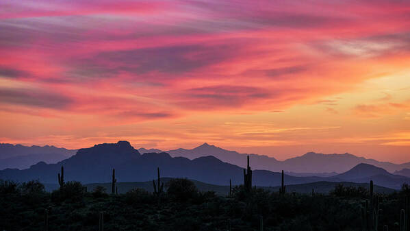 Saguaro Sunset Art Print featuring the photograph Pink Silhouette Sunset by Saija Lehtonen