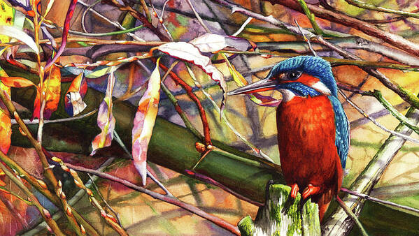 Kingfisher Art Print featuring the painting Pond Life by Peter Williams