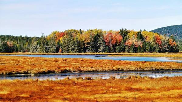  Acadia National Park Art Print featuring the photograph Pretty Marsh 2 by Mike Breau