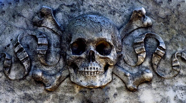 Stone Art Print featuring the photograph Recoleta Skull by Rob Tullis