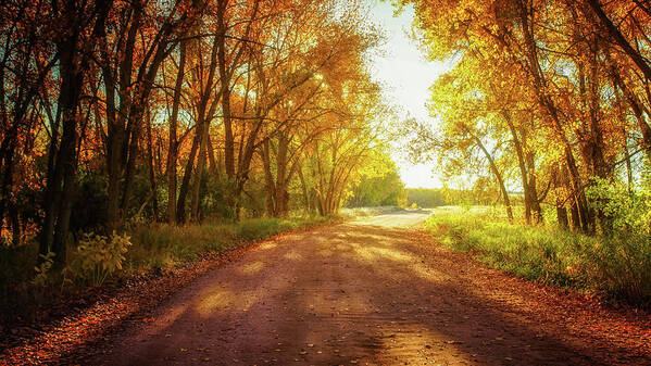 Chatfield State Park Art Print featuring the photograph Road To Eternity by John De Bord