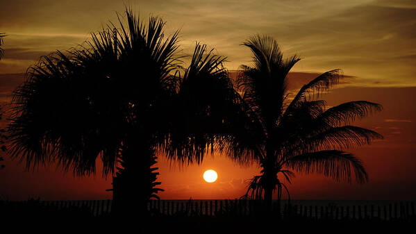 Florida Art Print featuring the photograph Sunrise Palm Window Delray Beach Florida by Lawrence S Richardson Jr