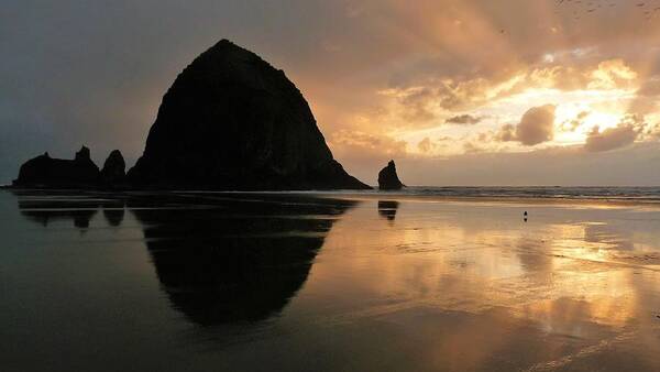 Sunset Art Print featuring the photograph Sunset at Haystack Rock by Tranquil Light Photography