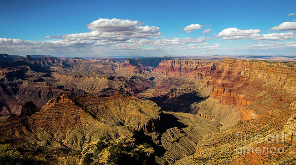 Grand Canyon Art Print featuring the photograph The Golden Grand Canyon by Stephen Whalen