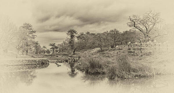 Landscape Art Print featuring the photograph The Old Pond by Nick Bywater