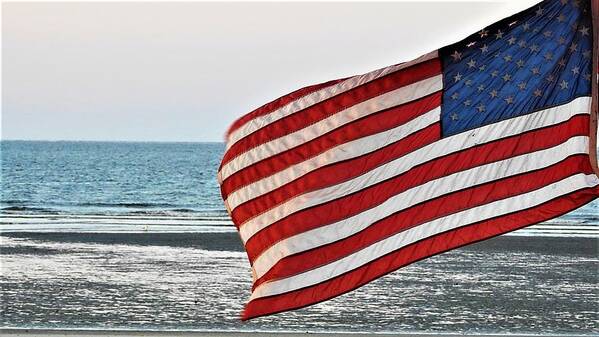 United States Of America Art Print featuring the photograph To Shining Sea by Jan Gelders