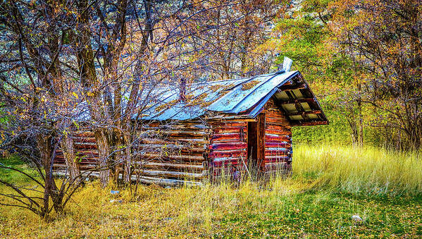 Art Art Print featuring the photograph Trappers Cabin by Jason Brooks