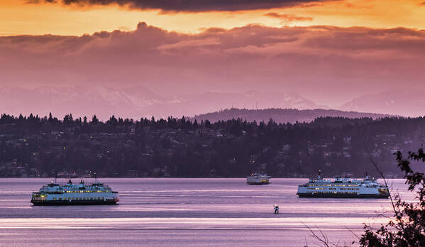 West Seattle Art Print featuring the photograph Triangle Ferry Run by E Faithe Lester