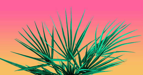 Palm Tree Art Print featuring the photograph Vaporwave Palm Life - Miami Sunset by Jennifer Walsh