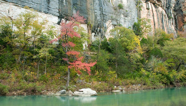 Landscape Art Print featuring the photograph White River Arkansas by David Waldrop