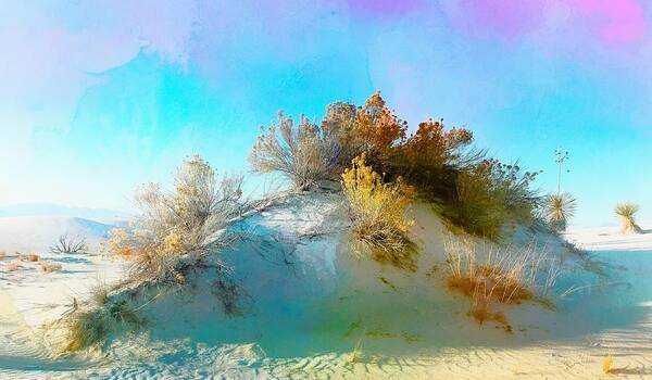 New Mexico Art Print featuring the mixed media White Sand Dunes Vegetation by Barbara Chichester