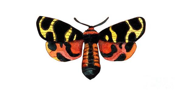 Tropical Art Print featuring the painting Winged Jewels 5, Watercolor Moth Black Yellow Orange and Red Tropical by Audrey Jeanne Roberts