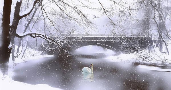 Winter Art Print featuring the photograph Winter Dreaming by Jessica Jenney