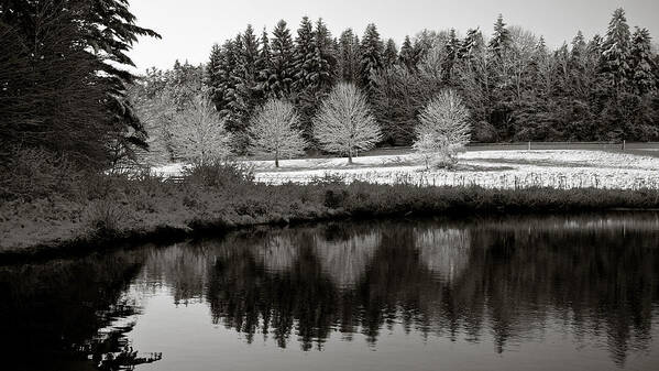 Winter Art Print featuring the photograph Winter Scene 3 by Edward Myers