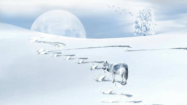 Wolf Art Print featuring the photograph Winter Wonderland - Wolf by Andrea Kollo
