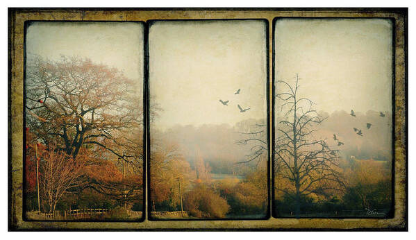 Triptych Art Print featuring the photograph Autumn by Peggy Dietz