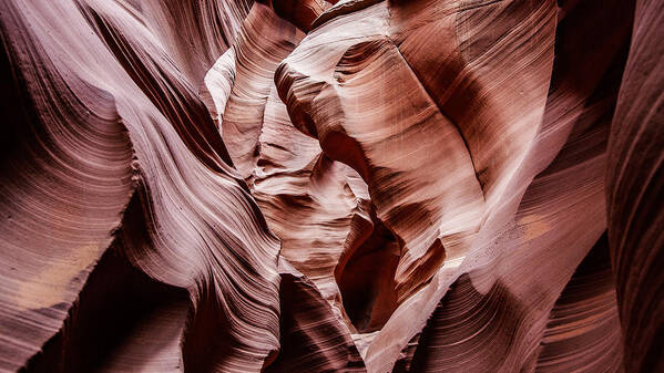 Antelope Canyon Art Print featuring the photograph Antelope Canyon3 by Ryu Shin Woo