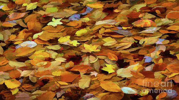 Smokey Mountains Art Print featuring the photograph Autumn Leaves by Doug Sturgess