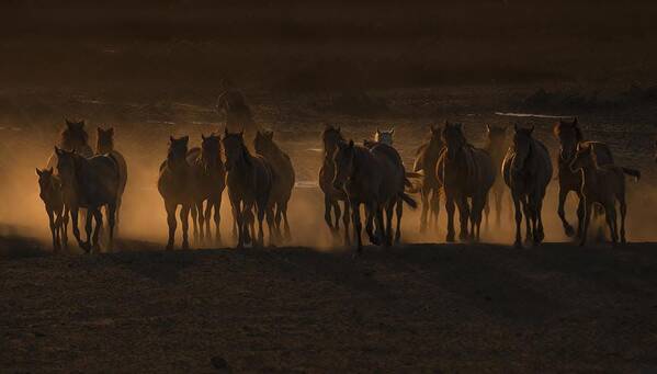 Golden Art Print featuring the photograph Beautiful The Country Of Horses / by Ramiz ?ahin