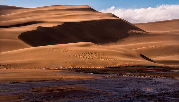 Sand Dunes Art Print featuring the photograph Big Sand Dune by Rong Wei