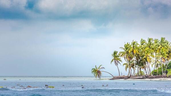 Trees Art Print featuring the photograph Cloudy Tropical Island Coast Or by Levente Bodo